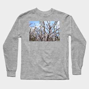 Branches with Tiny Pink Flowers Photograph Long Sleeve T-Shirt